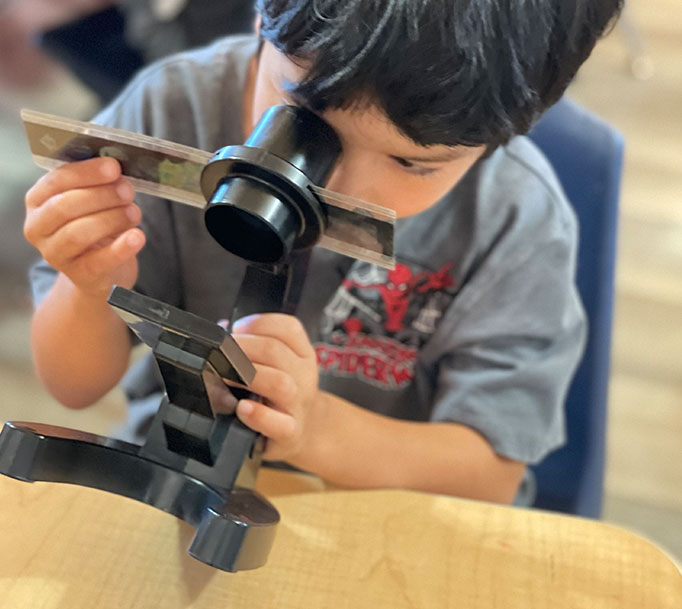 Brighton Montessori in Brighton, MI